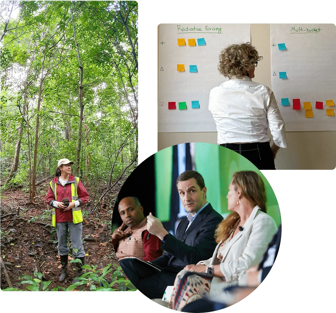 Collage of Co-Founder Donna Lee visiting a REDD project in Cambodia, Co-Founder Duncan Van Bergen at Ecosperity Week in Singapore, Chief Scientist Dr. Deborah Lawrence at New York Climate Week