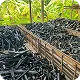 New methodology added: Puro Standard Biochar Methodology Version 3