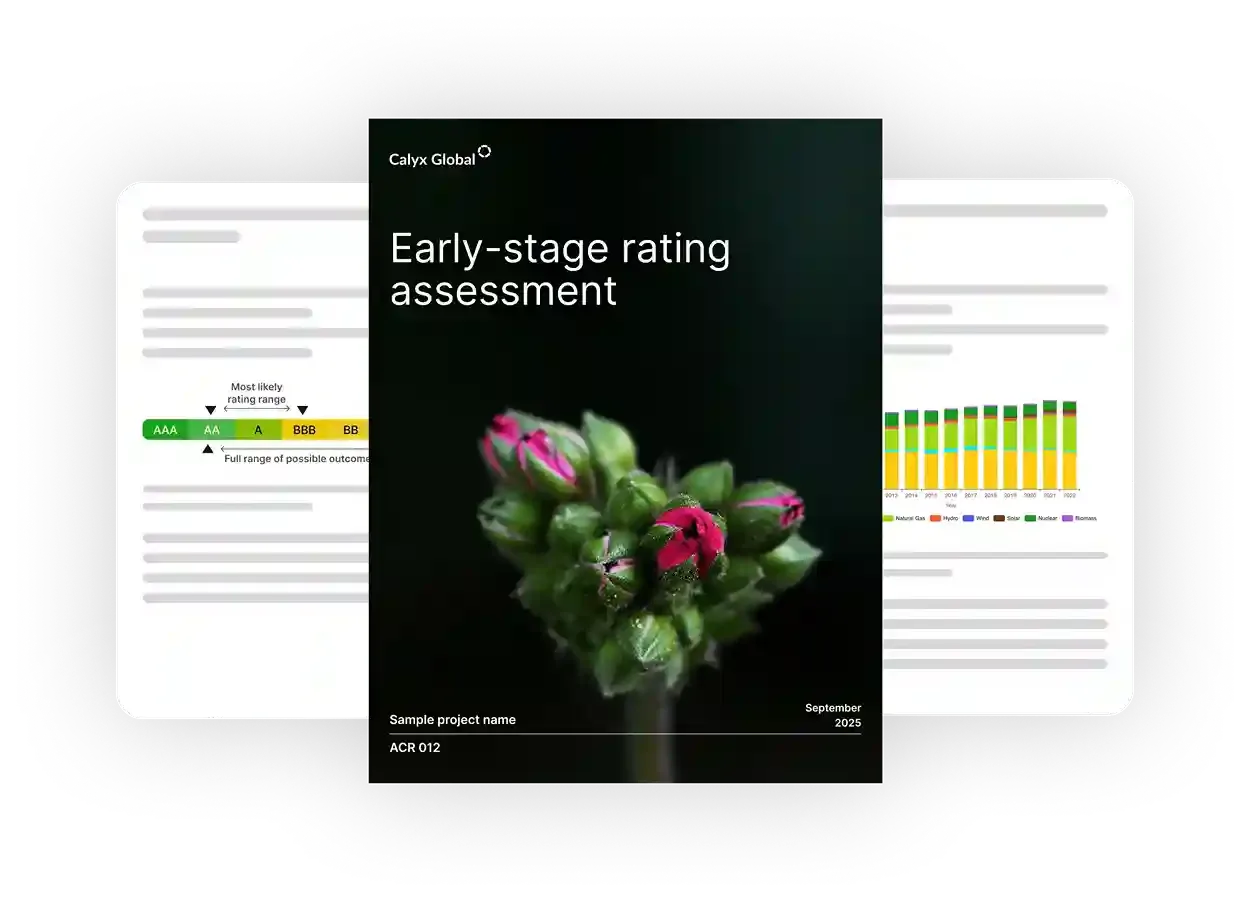 Rating Assessment report preview showing early-stage rating assessment document