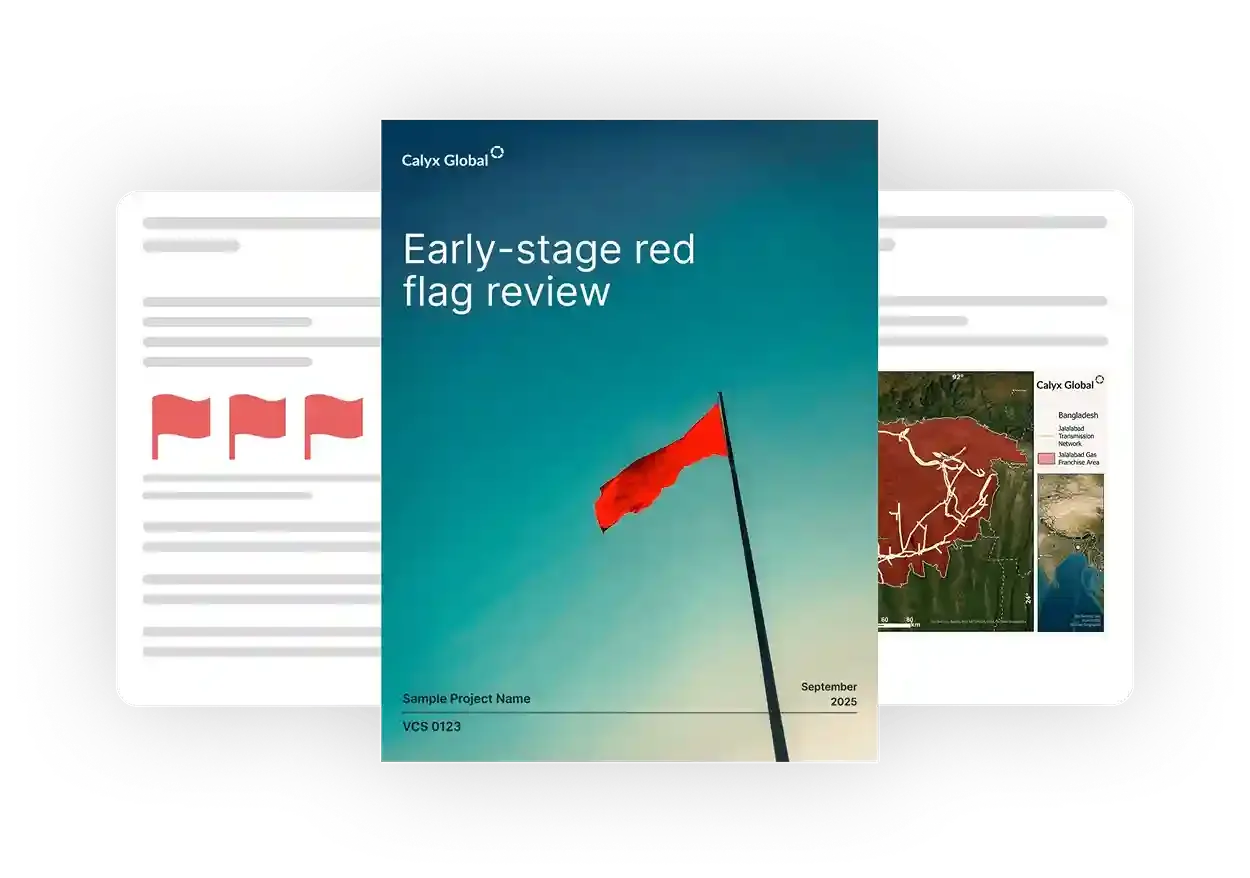 Red Flag Review report preview showing early-stage red flag review document